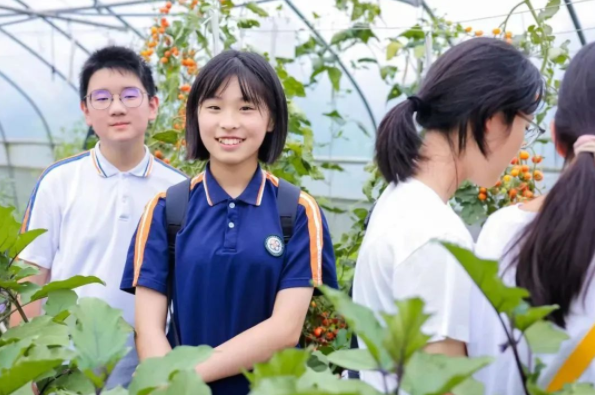 校园启动学生们归纳运用化学物理生物等学科常识打开实践